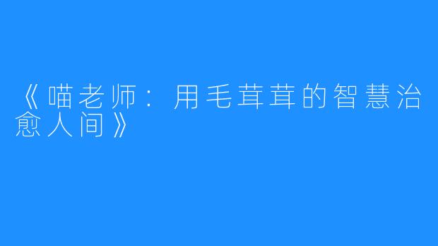 《喵老师:用毛茸茸的智慧治愈人间》