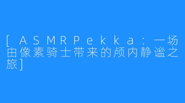 [ASMRPekka：一场由像素骑士带来的颅内静谧之旅]