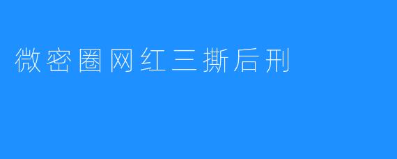 微密圈网红三撕后刑