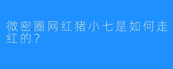 微密圈网红猪小七是如何走红的？