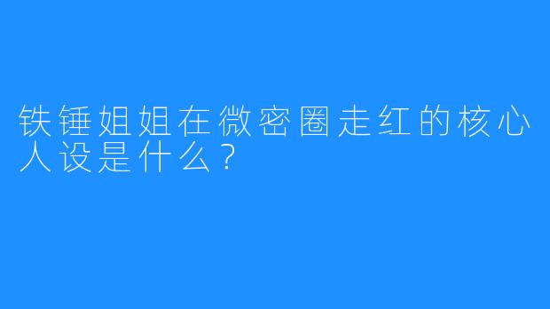 铁锤姐姐在微密圈走红的核心人设是什么？