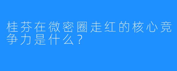 桂芬在微密圈走红的核心竞争力是什么?