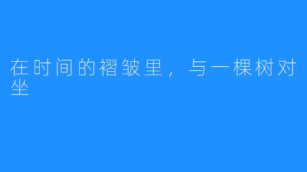 在时间的褶皱里,与一棵树对坐