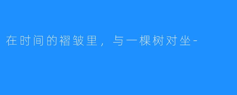 在时间的褶皱里,与一棵树对坐-