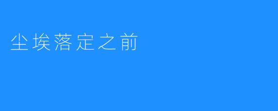 尘埃落定之前