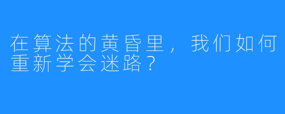 在算法的黄昏里,我们如何重新学会迷路?